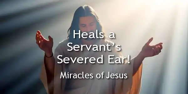 Miracles of Jesus | Jesus Group