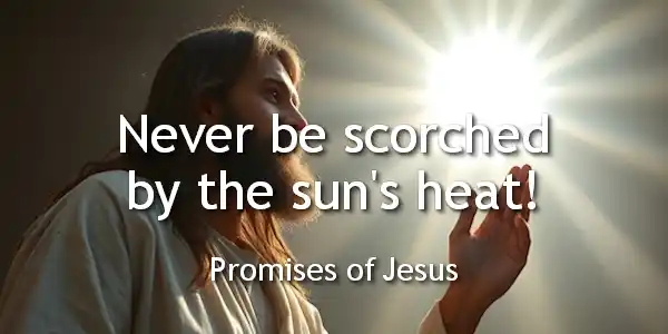Promises of Jesus | Jesus Group