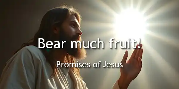 Promises of Jesus | Jesus Group