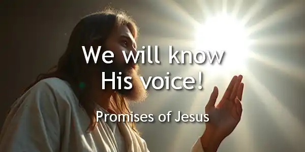 Promises of Jesus | Jesus Group